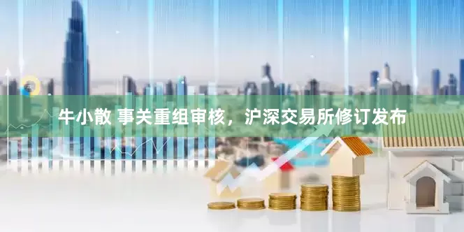 牛小散 事关重组审核，沪深交易所修订发布