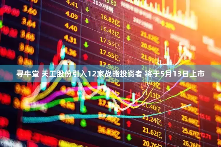 寻牛堂 天工股份引入12家战略投资者 将于5月13日上市