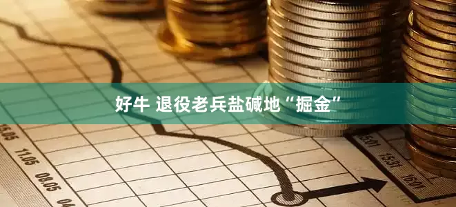 好牛 退役老兵盐碱地“掘金”