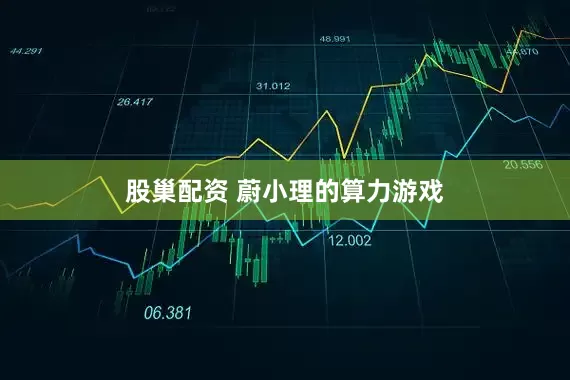 股巢配资 蔚小理的算力游戏