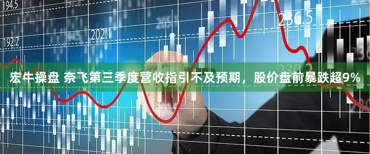 宏牛操盘 奈飞第三季度营收指引不及预期，股价盘前暴跌超9%